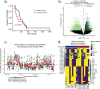 Figure 2—figure supplement 1.