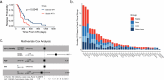 Figure 1—figure supplement 2.