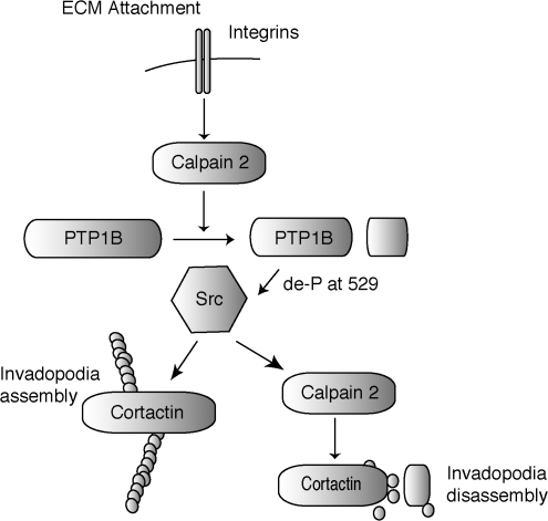 Figure 10.