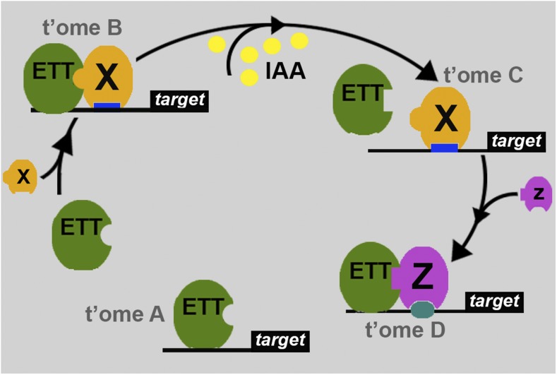 Figure 10.