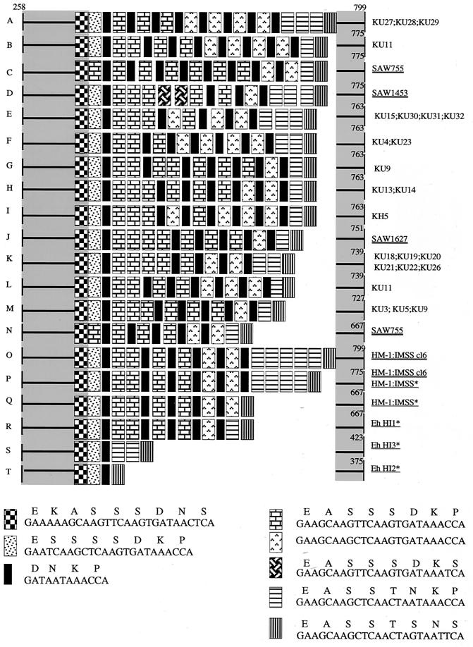 FIG. 5.