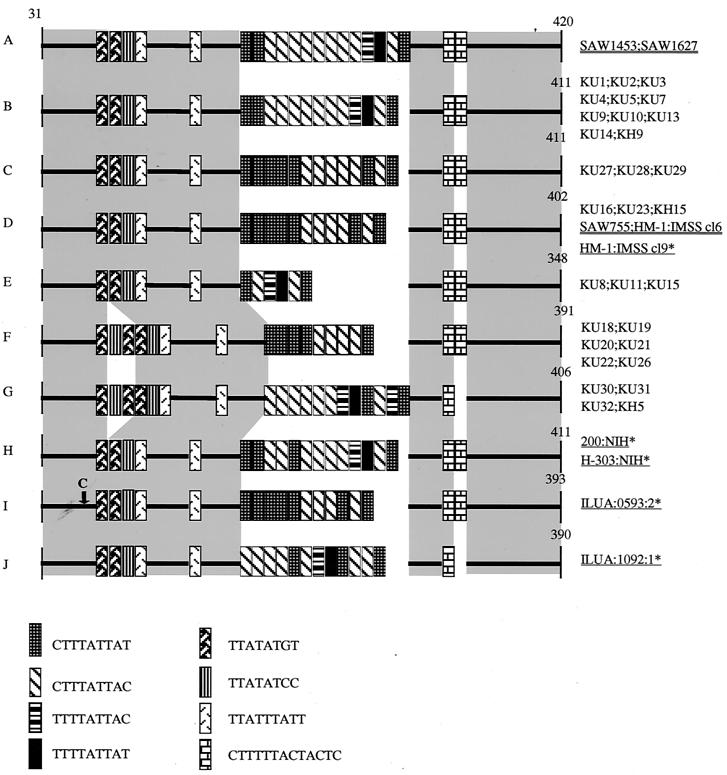 FIG. 2.