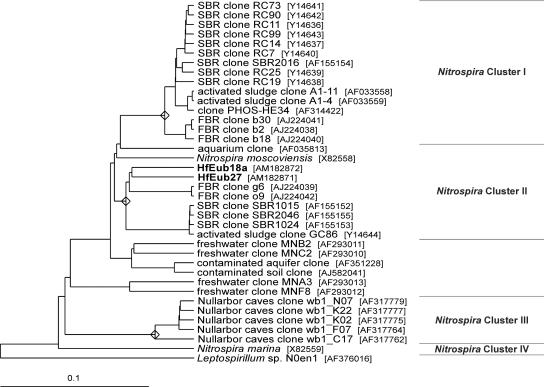 FIG. 7.