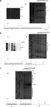 FIG. 3.