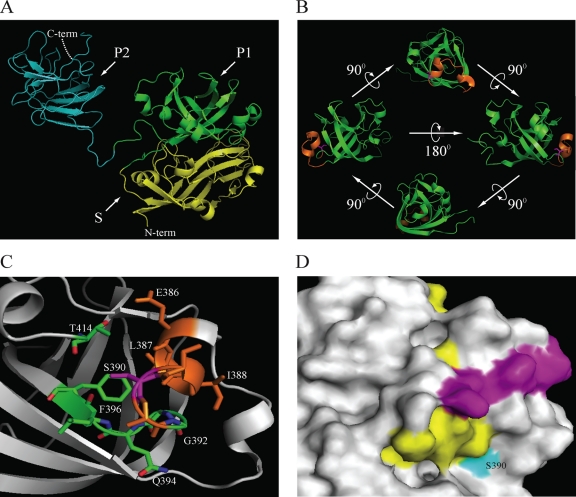 Fig. 7.