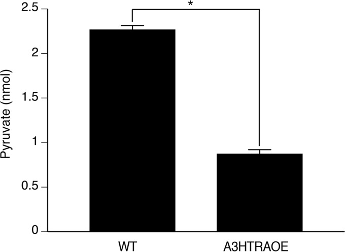 FIG 6 