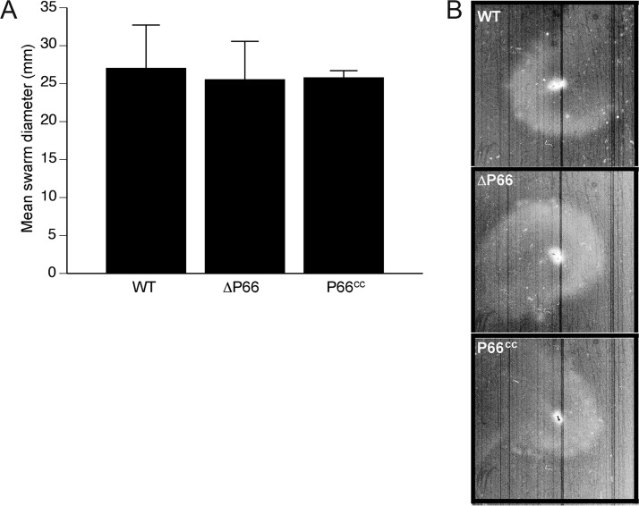 FIG 5 