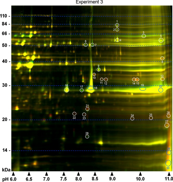 FIG 2 