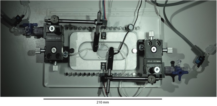 FIGURE 2