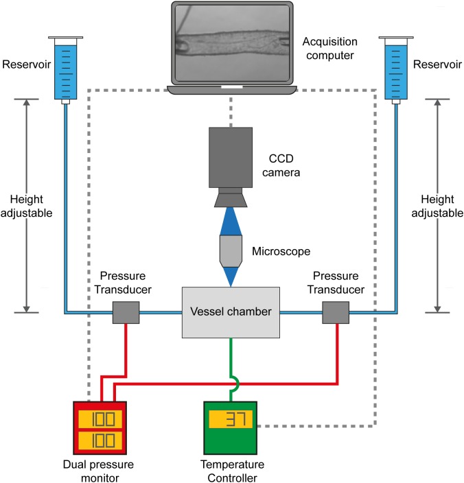 FIGURE 1