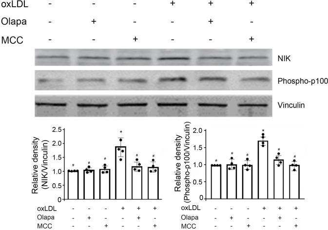 Fig 9