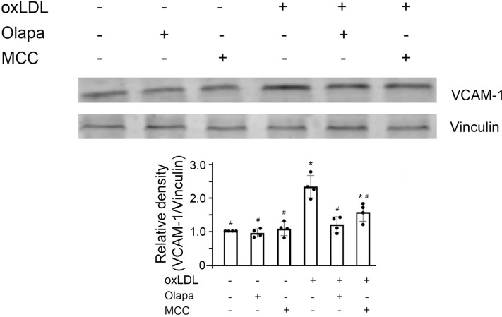 Fig 10