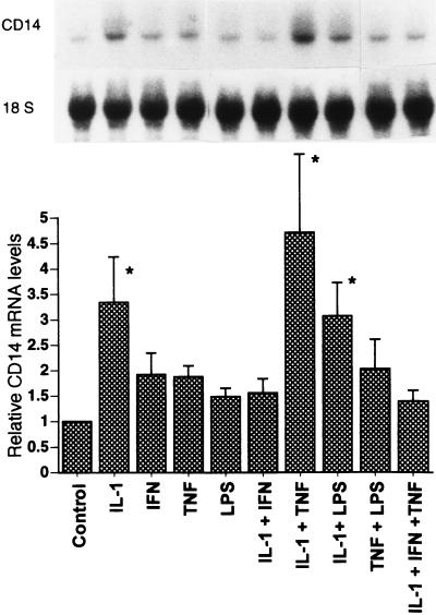 FIG. 10