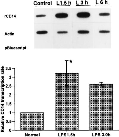 FIG. 9