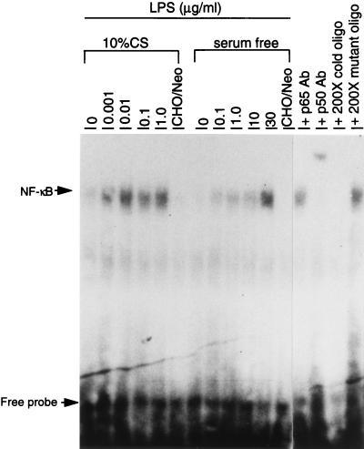 FIG. 8