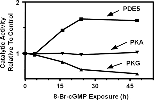 Fig. 9.