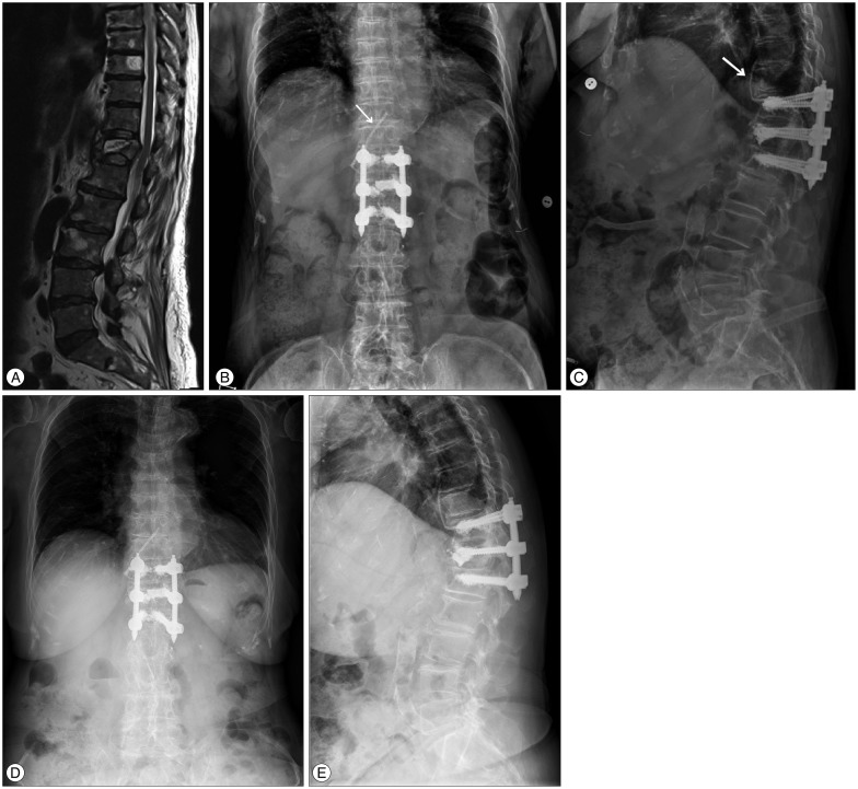 Fig. 5