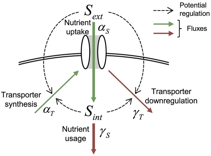 Fig 1