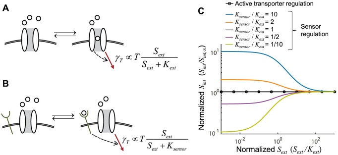 Fig 5