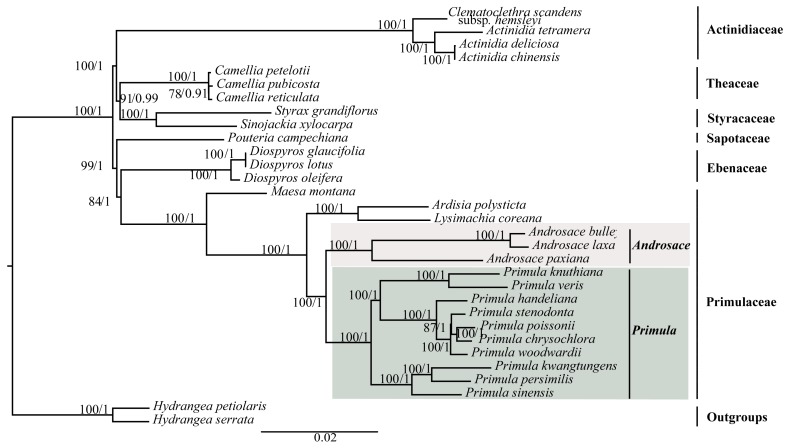 Figure 5