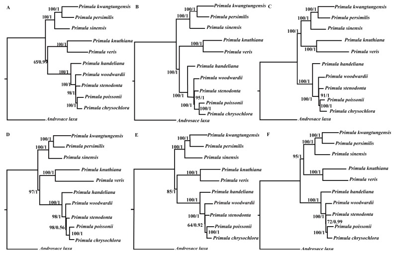 Figure 6