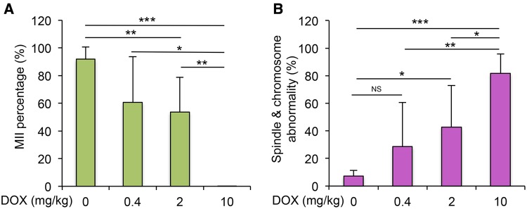 FIG. 7