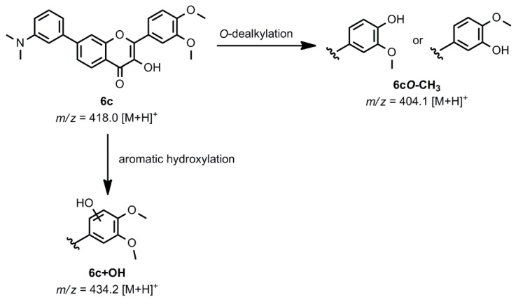 Scheme 2