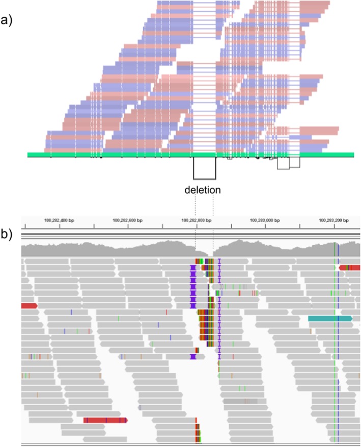 Fig. 3