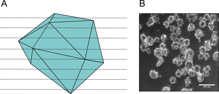 Fig 5