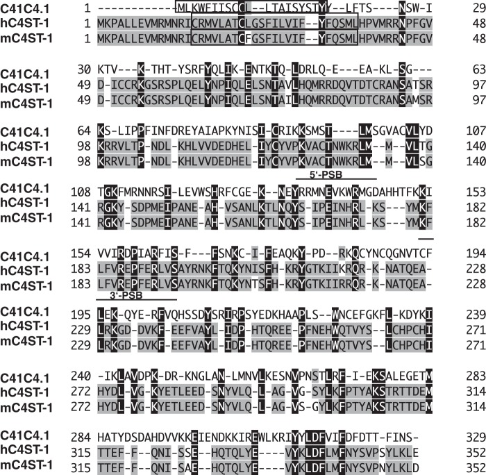 FIGURE 1.