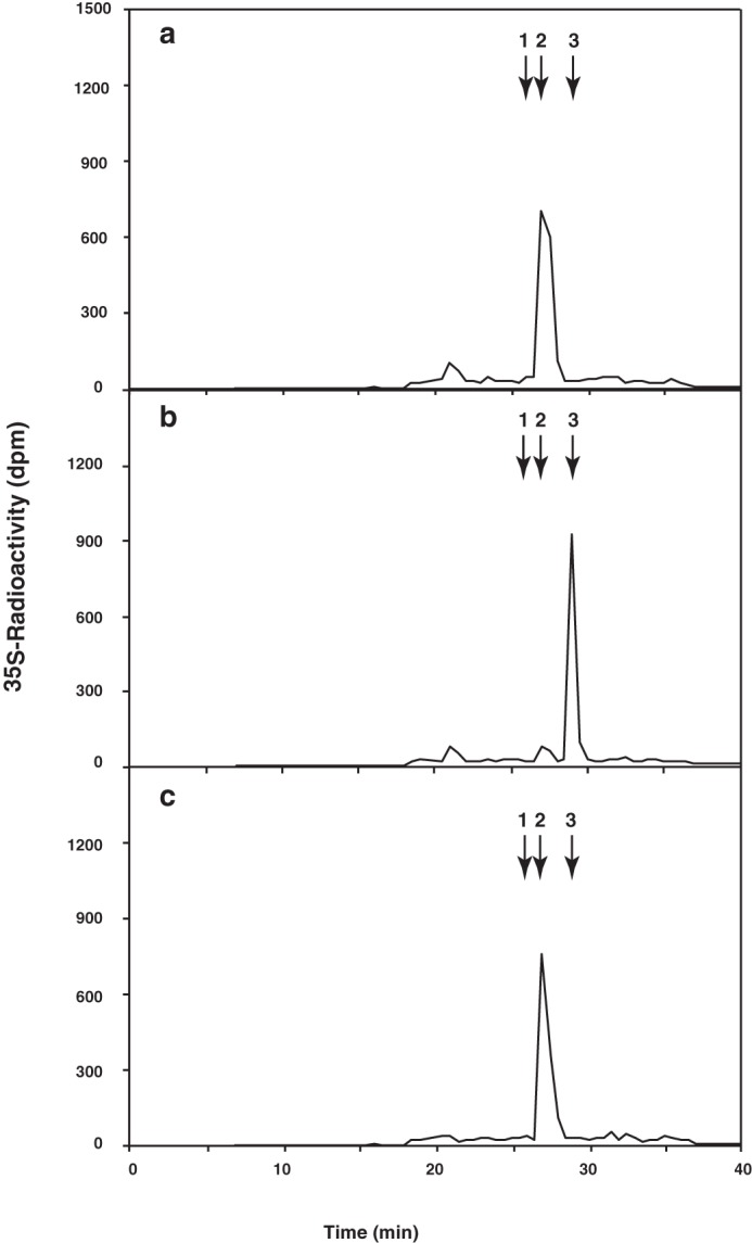 FIGURE 3.