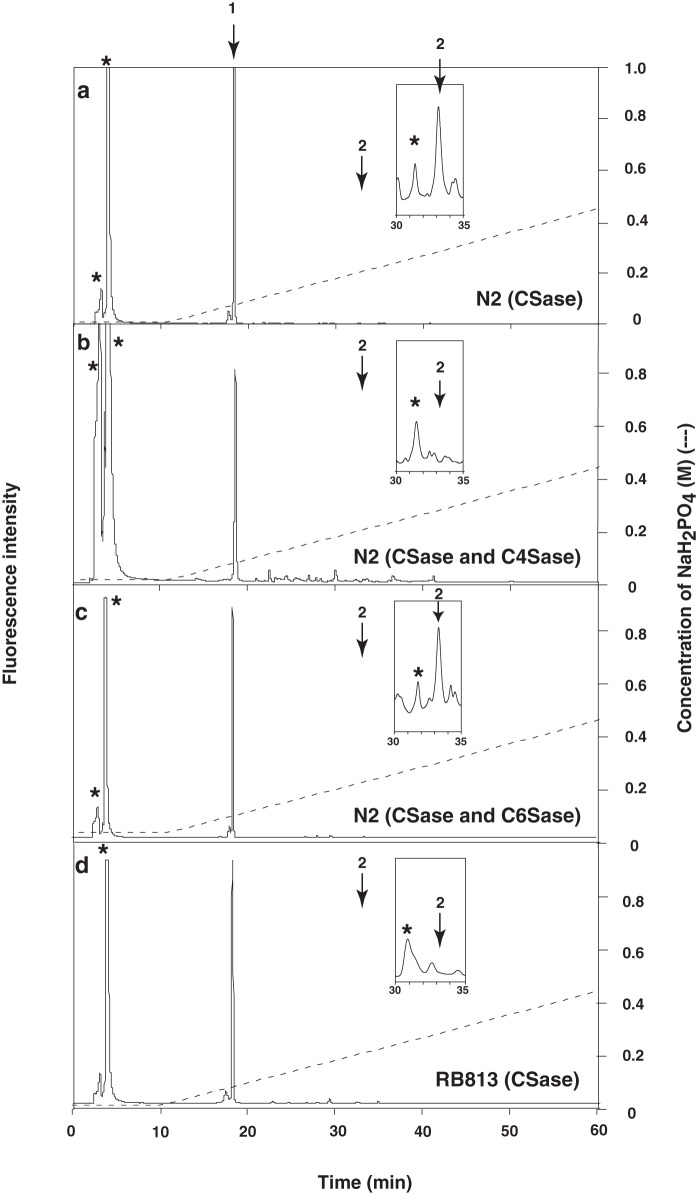 FIGURE 2.