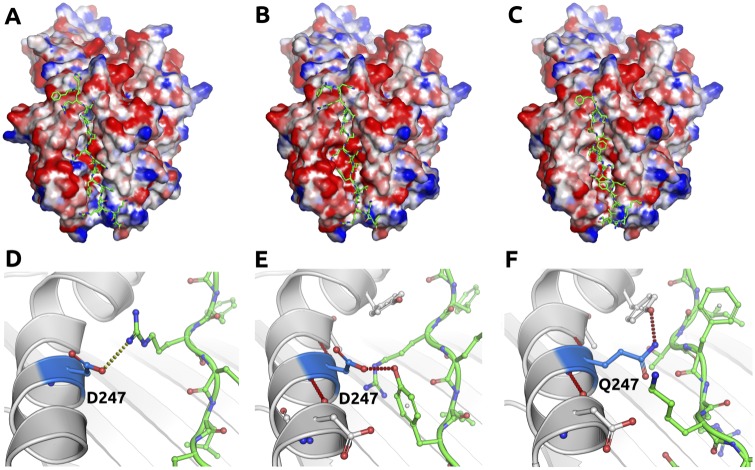 Fig 5