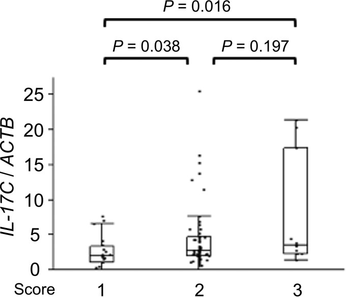 FIG 6