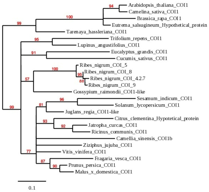 Figure 6