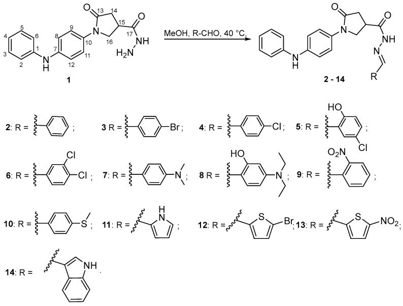 Scheme 1