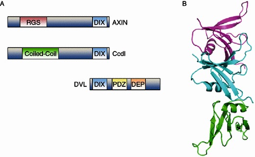 Figure 1