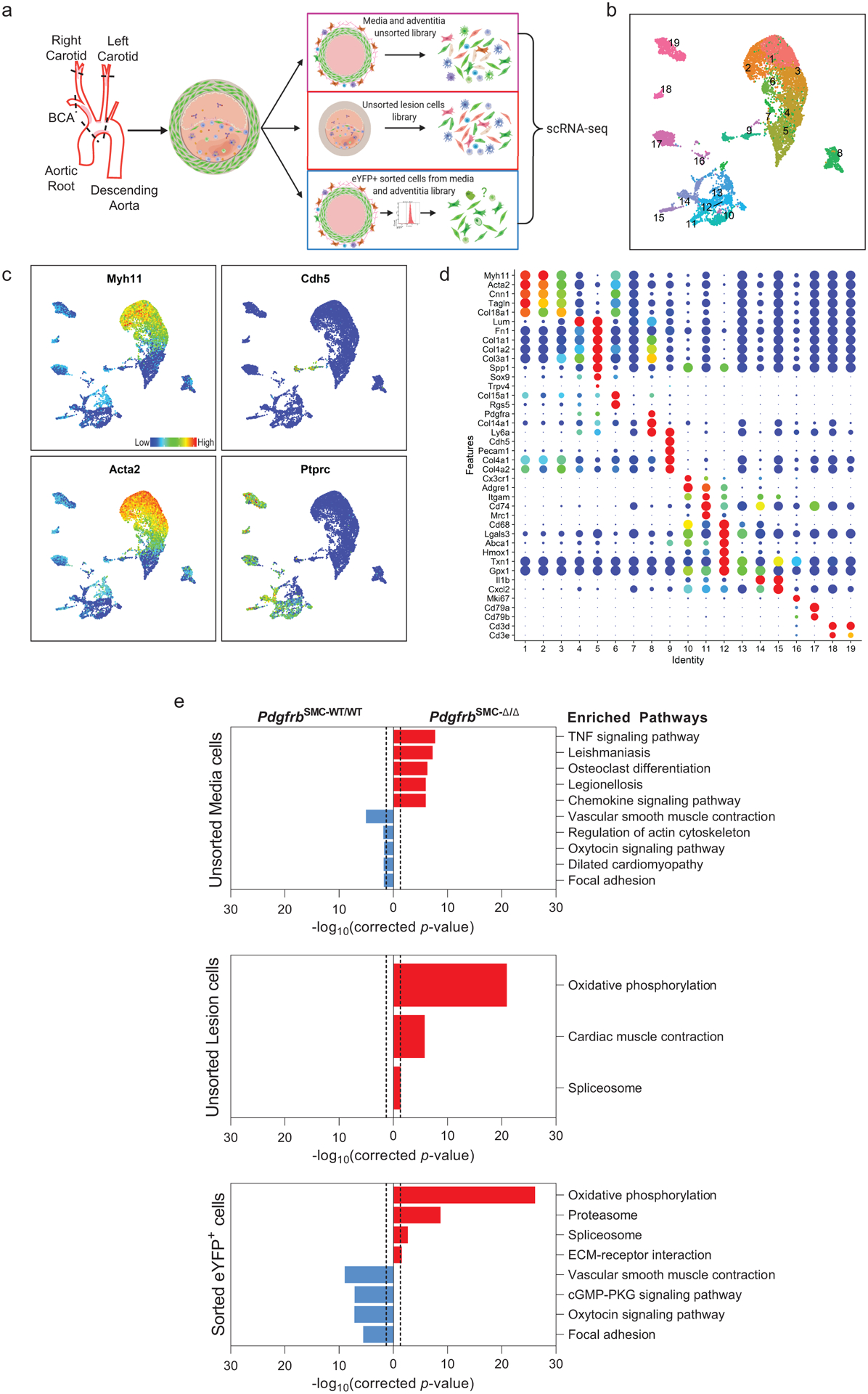 Figure 2: