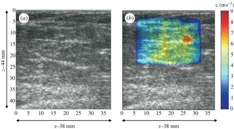 Figure 5.