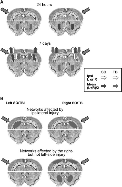 FIG. 3.