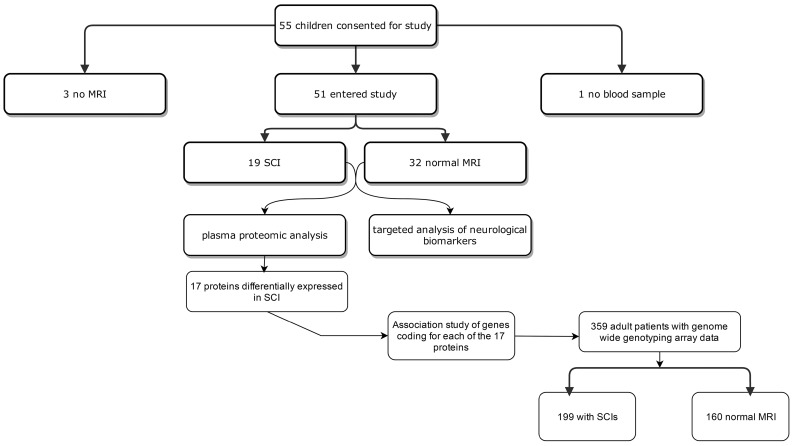 Figure 1: