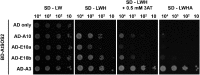 Figure 6.
