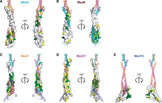 Figure 7.