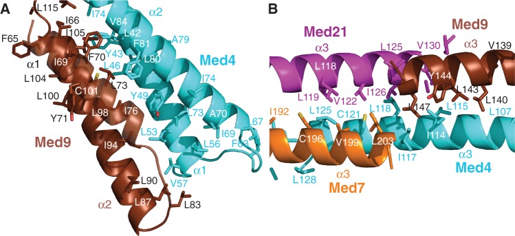 Figure 5.