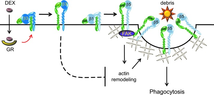 FIG. 3.