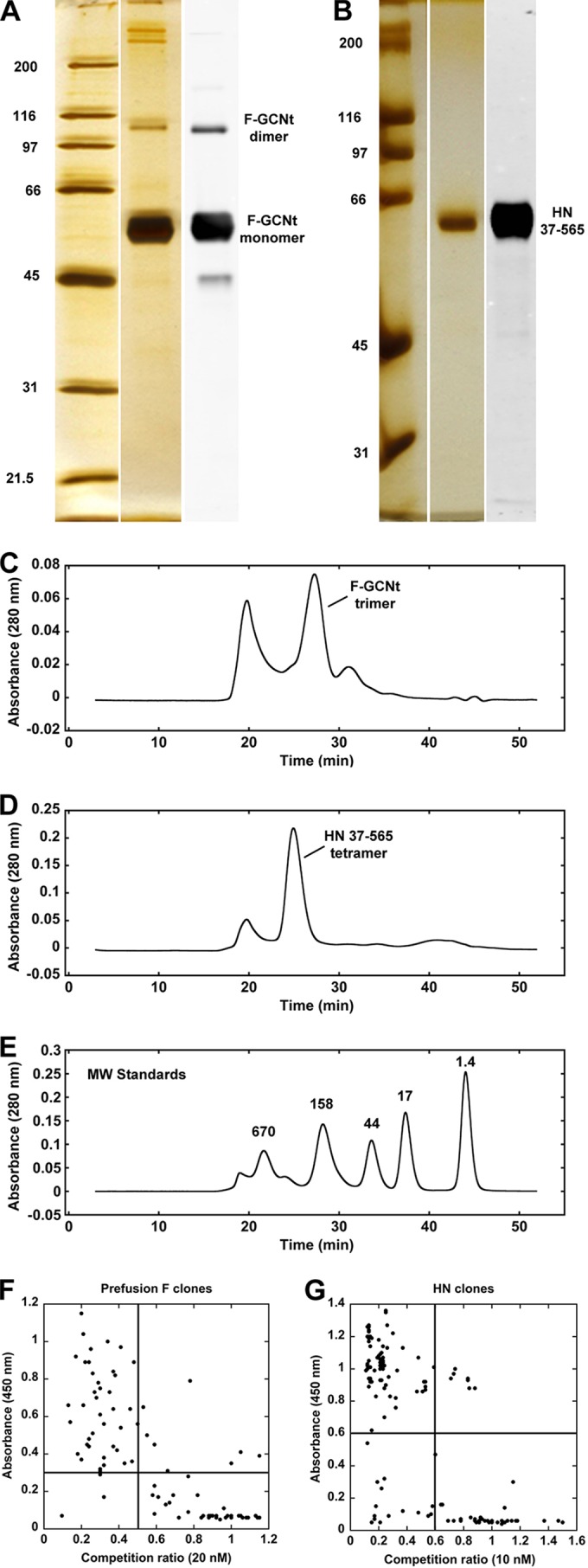 FIG 1