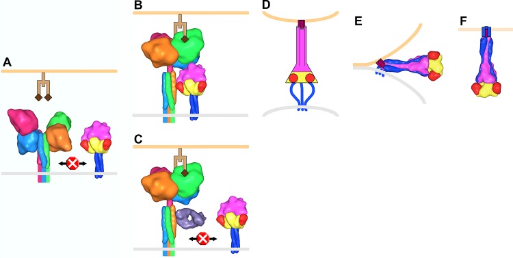 FIG 8