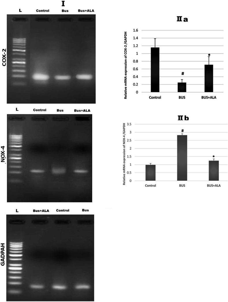 Figure 9