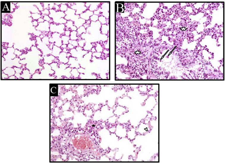 Figure 6