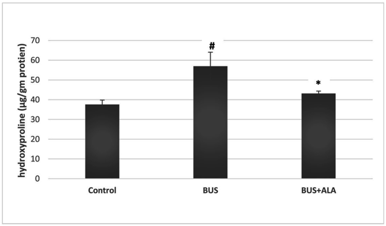 Figure 5